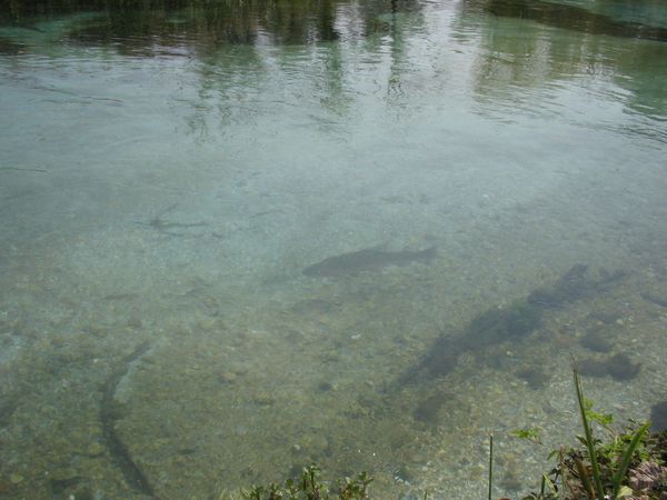 Canale Santa Susanna (tratto alto)